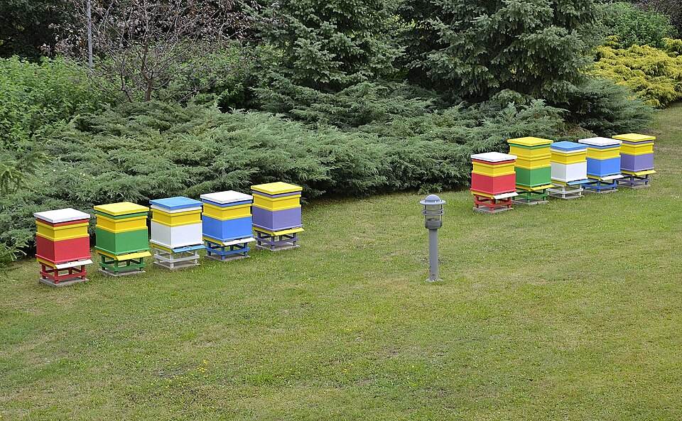 Beehives