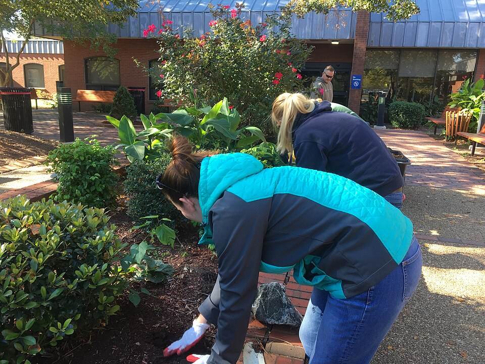 Healing garden