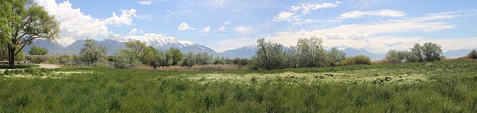 Monarch waystation